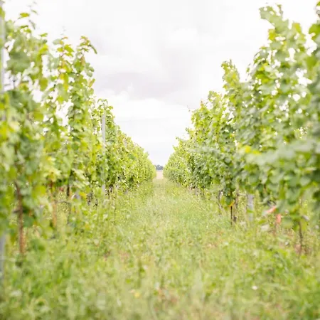 Biberburg バート・リーベンヴェルダ