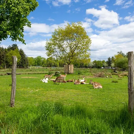Biberburg バート・リーベンヴェルダ