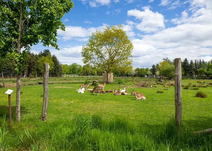 Biberburg Bad Liebenwerda