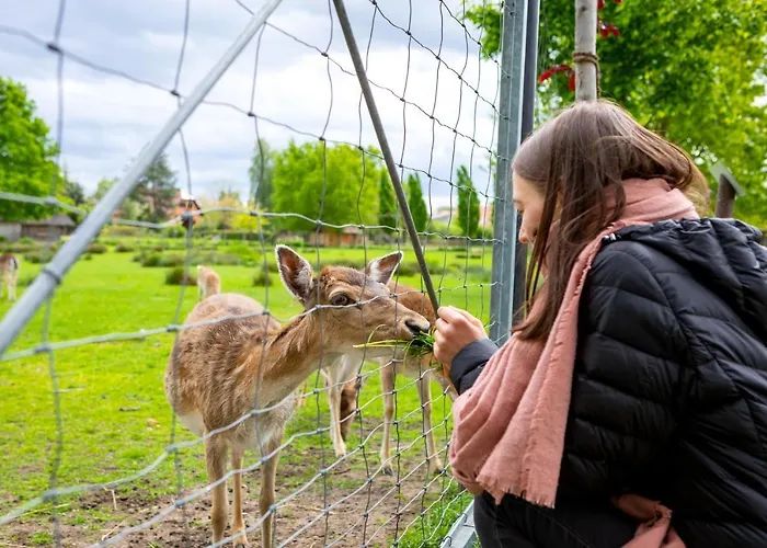 Biberburg باد ليبينويردا